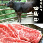 Carne de Wagyu o Kobe