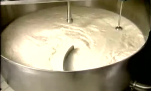 proceso de pasteurización del queso musarela